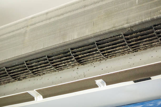 Best Home Air Vent Cleaning  in Centreville, MS